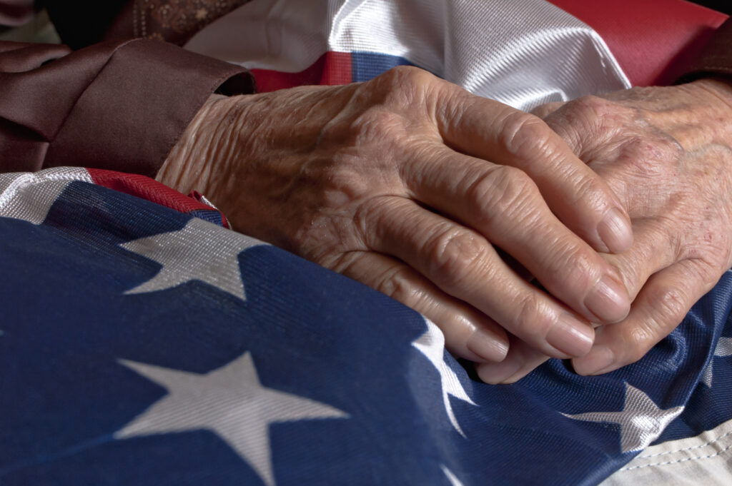 how to honor a veteran on veterans day