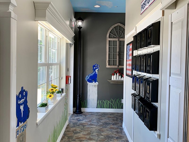 D2F218AE-F902-4E0B-8364-329B24A4DAA5